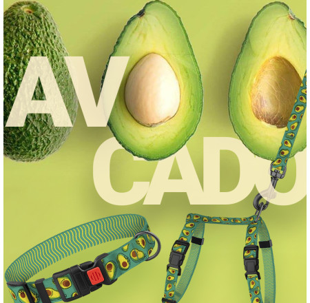 Авокадо