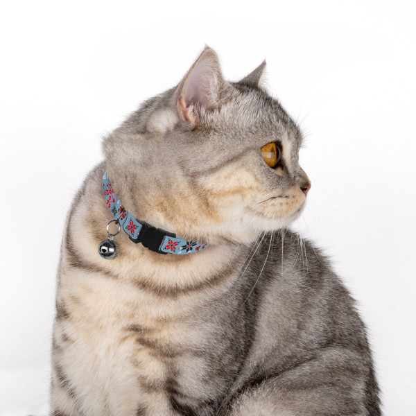 Нашийник для Котів Barksi Urban Нейлоновий Калина