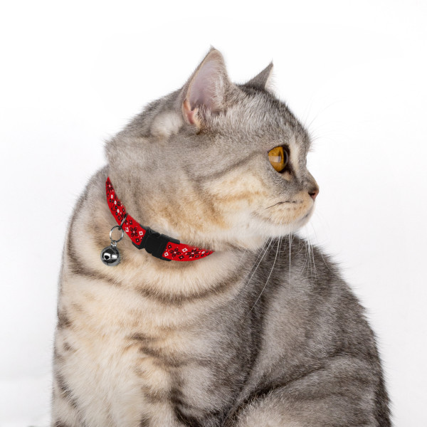 Нашийник для Котів Barksi Urban Нейлоновий Вишиванка Червона