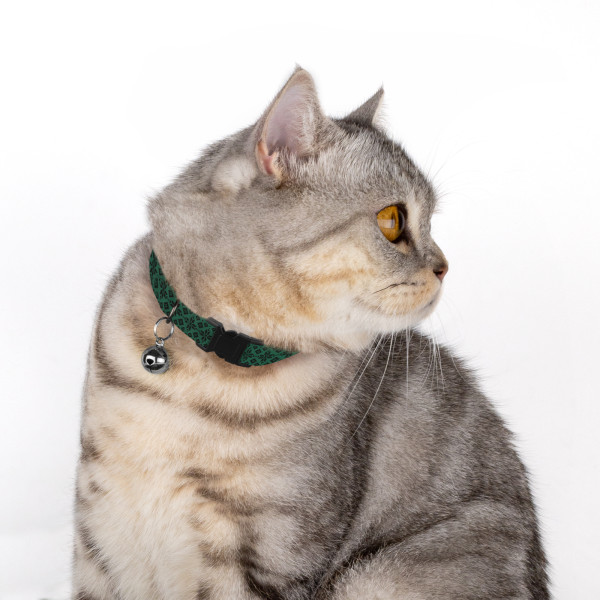 Нашийник для Котів Barksi Urban Нейлоновий Вишиванка Зелена