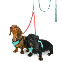 Повідець-спарка для Собак Шкіряний Barksi Classic Червоний