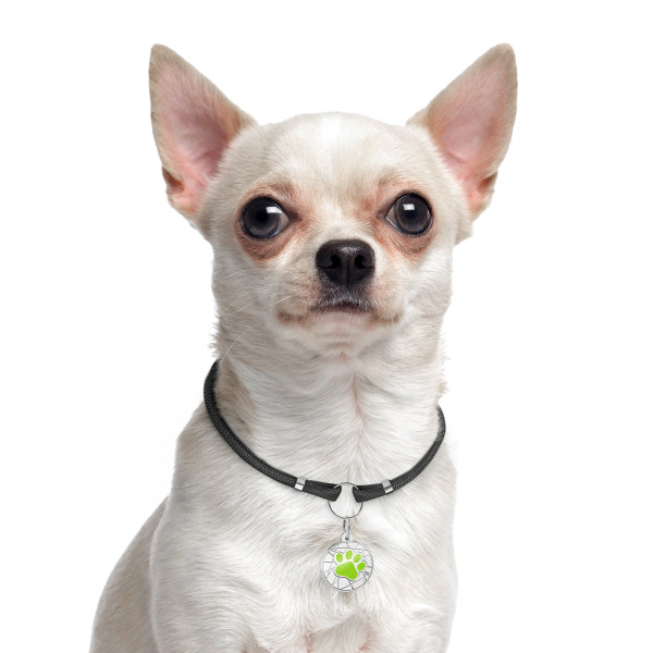 Шнурок для адресників Barksi з паракорду для собак та котів Чорний