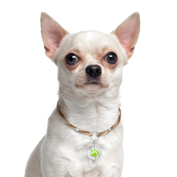 Шнурок для адресників Barksi з паракорду для собак та котів Коричневий