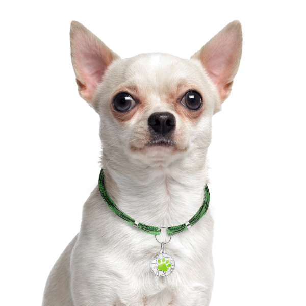 Шнурок для адресників Barksi з паракорду для собак та котів Зелений