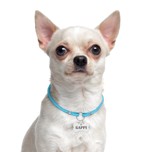 Шнурок для адресників Barksi з паракорду для собак та котів Блакитний