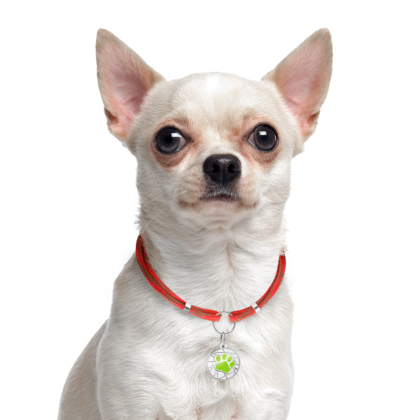 Шнурок для адресників Barksi з паракорду для собак та котів Червоний