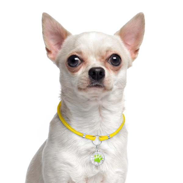 Шнурок для адресників Barksi з паракорду для собак та котів Жовтий