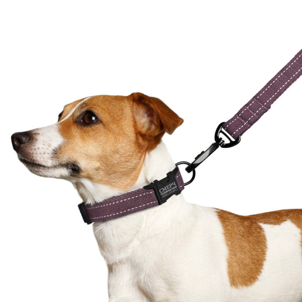 Нашийник для собак Barksi Сotton рефлекторний бавовняний брезент з металевою пряжкою черрі