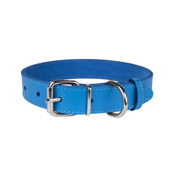Нашийник для Собак Шкіряний "Весна" Блакитний
