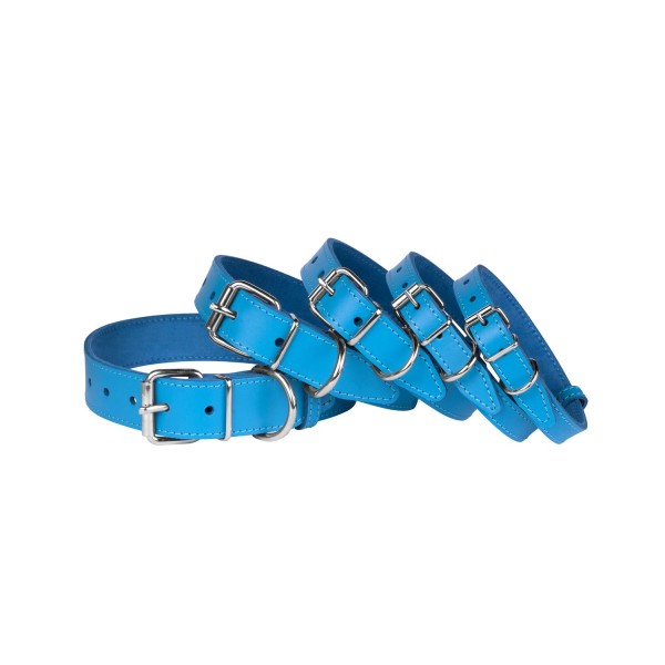 Нашийник для Собак Шкіряний "Весна" Блакитний