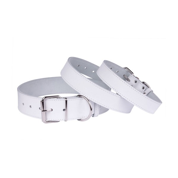 Нашийник для Собак Шкіряний "Весна" Білий