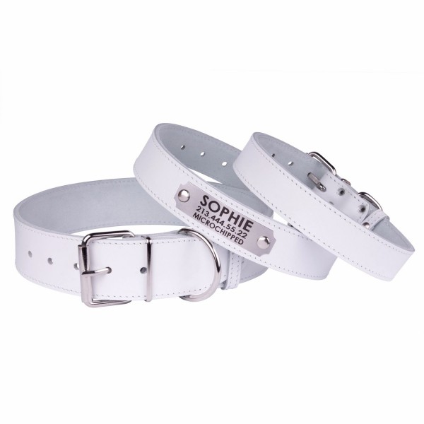 Нашийник для Собак Шкіряний "Весна" Білий