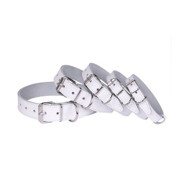 Нашийник для Собак Шкіряний "Весна" Білий