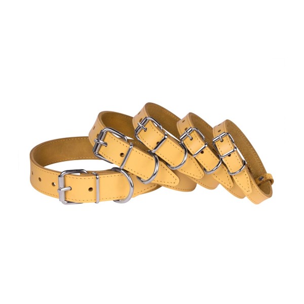 Нашийник для Собак Шкіряний "Весна" Жовтий