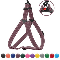 Шлея для Собак Barksi Сotton Стандарт Рефлекторна Брезент Черрі