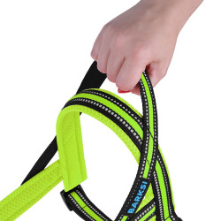 Шлея для Собак Barksi Mesh Скандинавська Лимонна