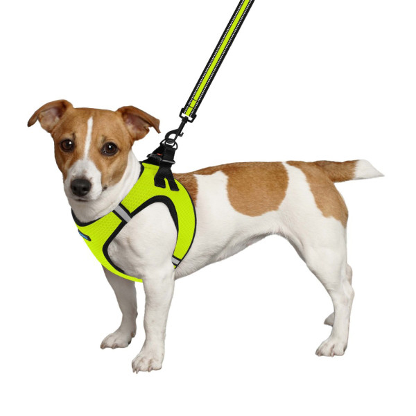 Шлея для собак Bronzedog Mesh Vest 3D сітка Лимонна