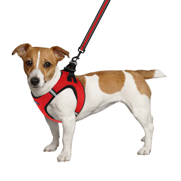 Шлея для собак Bronzedog Mesh Vest 3D сітка Червона