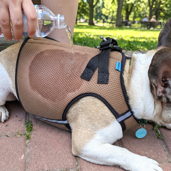 Шлея для собак Охолоджуюча Barksi Бежева