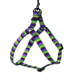 Шлея для Собак BronzeDog Urban Зигзаг Нейлонова Салатово-Фіолетова