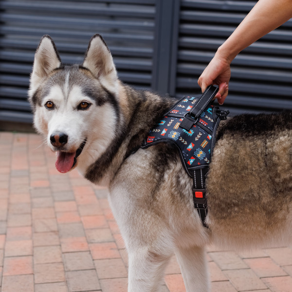 Шлея для Собак Barksi Urban Comfort Ацтеки