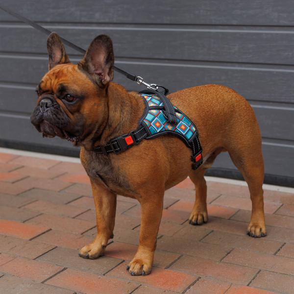 Шлея для Собак Barksi Urban Comfort Ромби