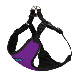 Шлея для Собак Дрібних Порід Barksi Sport Неопрен 3D Сітка Фіолетова