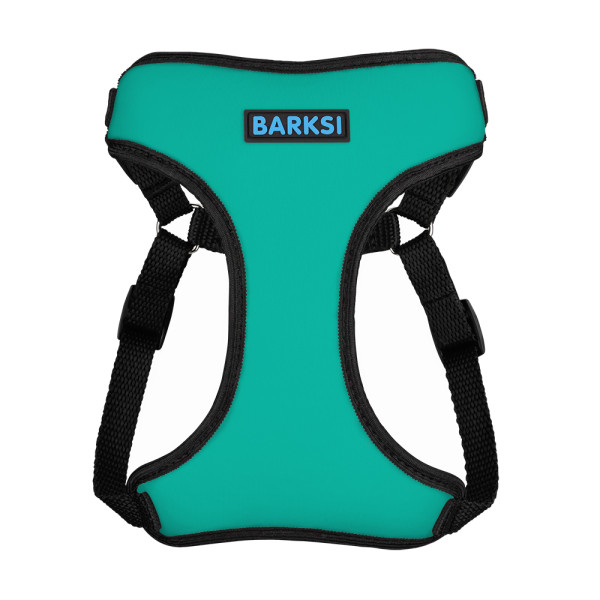 Шлея для Собак Дрібних Порід Barksi Sport Неопрен 3D Сітка Бірюзова