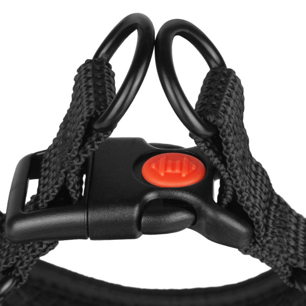 Шлея для Собак Дрібних Порід Barksi Sport Неопрен 3D Сітка Бірюзова