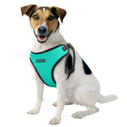 Шлея для Собак Дрібних Порід Barksi Sport Неопрен 3D Сітка Бірюзова