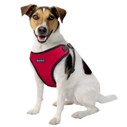 Шлея для Собак Дрібних Порід Barksi Sport Неопрен 3D Сітка Червона