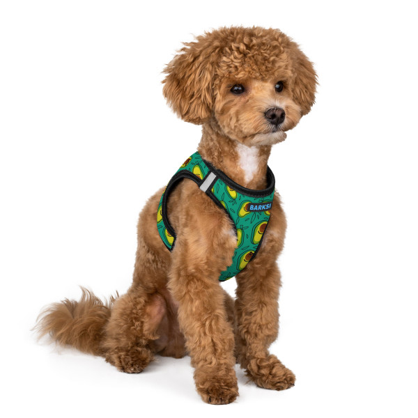 Шлея для Собак Sport Vest Barksi Авокадо