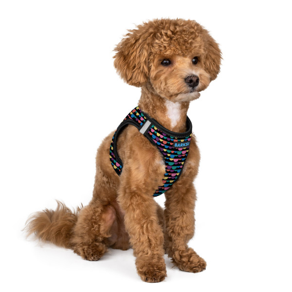 Шлея для Собак Sport Vest Barksi Бульки