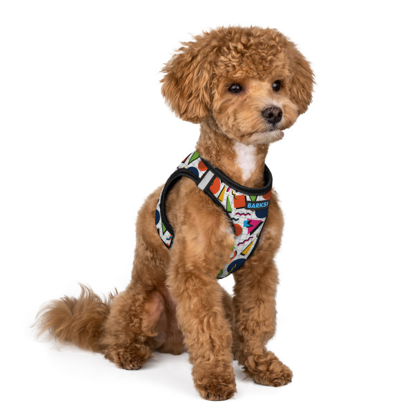 Шлея для Собак Sport Vest Barksi Геометрія
