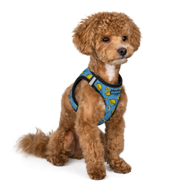 Шлея для Собак Sport Vest Barksi Лимони