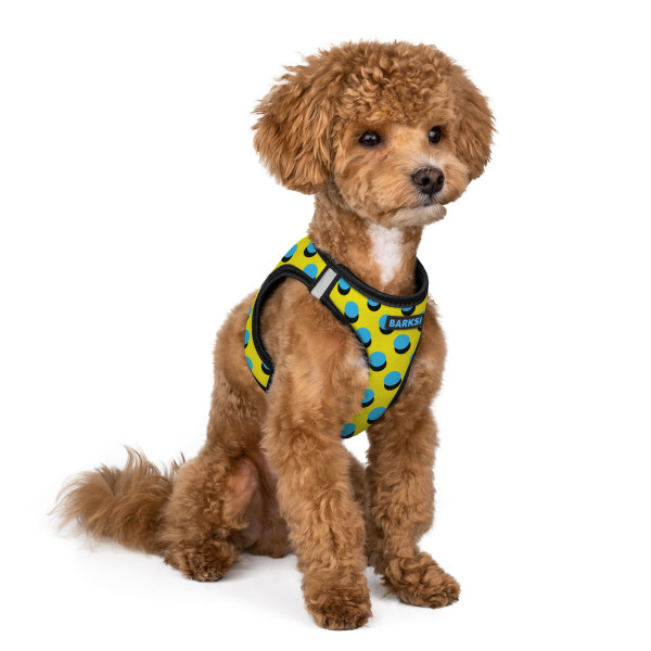 Шлея для Собак Sport Vest Barksi Поп Арт