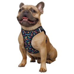 Шлея для Собак Sport Vest Barksi Бульки