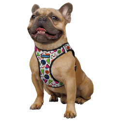 Шлея для Собак Sport Vest Barksi Геометрія