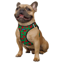 Шлея для Собак Sport Vest Barksi Кавун