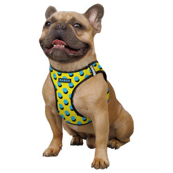 Шлея для Собак Sport Vest Barksi Поп Арт
