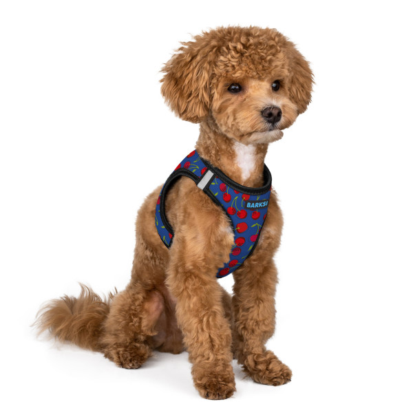 Шлея для Собак Sport Vest Barksi Вишні
