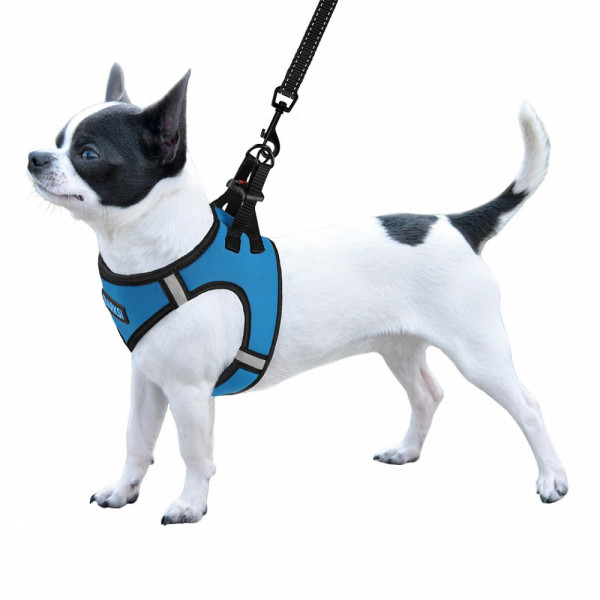 Шлея для собак Barksi Sport Vest неопрен 3D сітка блакитна