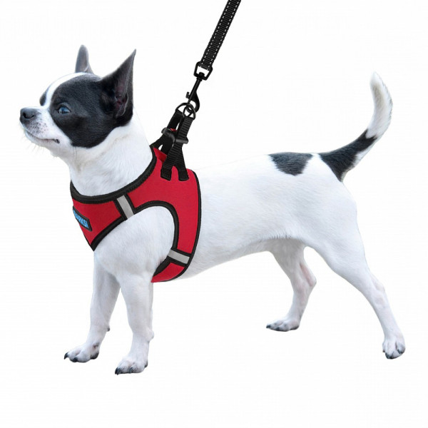 Шлея для собак Barksi Sport Vest неопрен 3D сітка червона