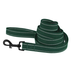 Повідець для собак Barksi Сotton рефлекторний бавовняний брезент Стандарт Зелений