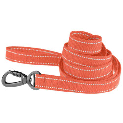 Повідець для собак Barksi Сotton рефлекторний бавовняний брезент помаранчевий