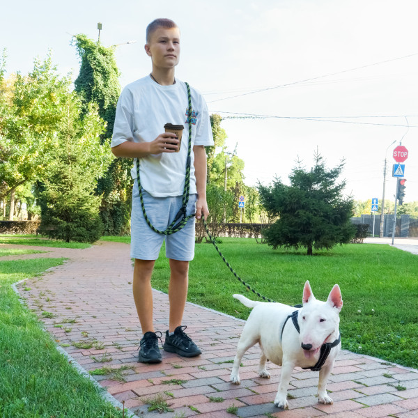 Повідець для Собак Barksi світловідбивний "Вільні руки" Салатовий Повідець для Собак Barksi світловідбивний "Вільні руки" Салатовий