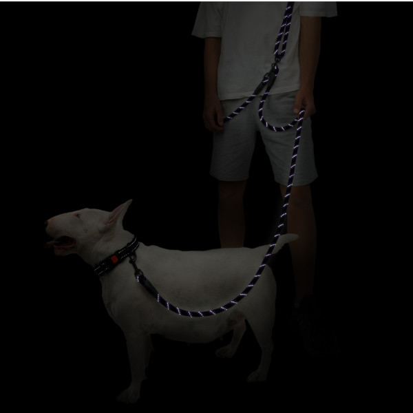 Повідець для Собак Barksi світловідбивний "Вільні руки" Фіолетовий Повідець для Собак Barksi світловідбивний "Вільні руки" Фіолетовий