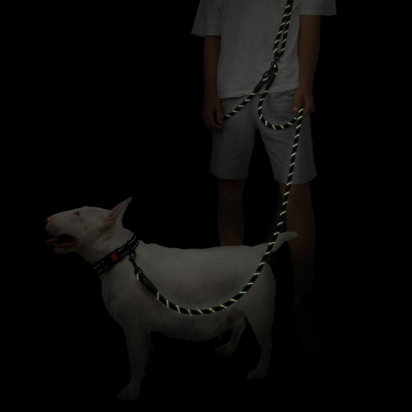 Повідець для Собак Barksi світловідбивний "Вільні руки" Салатовий Повідець для Собак Barksi світловідбивний "Вільні руки" Салатовий