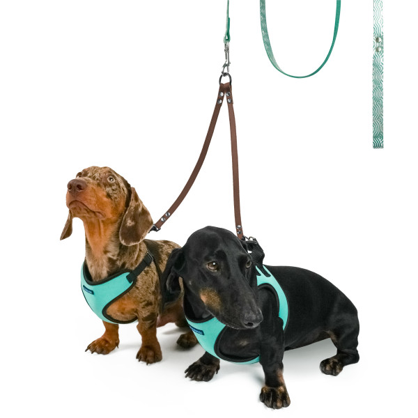 Повідець-спарка для Собак Шкіряний Barksi Classic Коричневий