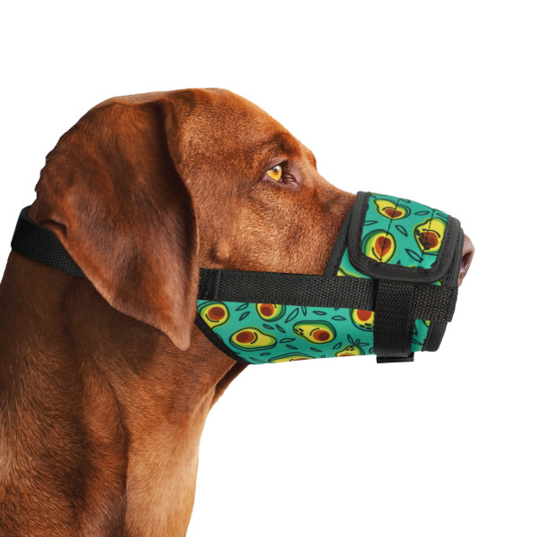 Намордник для собак Barksi нейлоновий регульований Авокадо